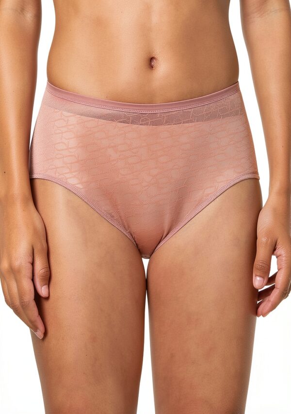 Triumph Signature Sheer Maxi Ex shorties femme lingerie